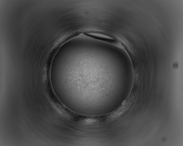 X0000101960158200807181049