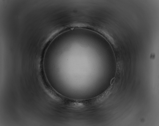 X0000101960159200807181049