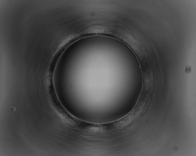 X0000101960160200807181049