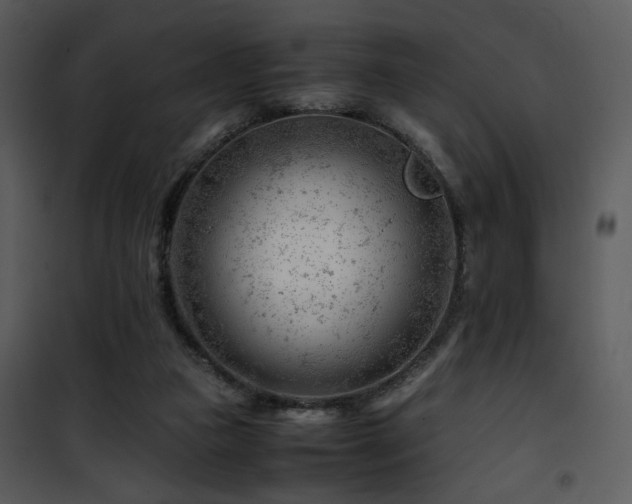 X0000101960161200807181049