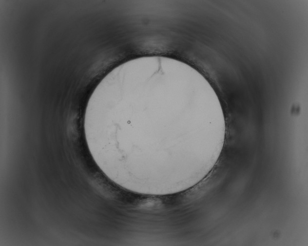 X0000101960162200807181049