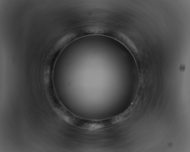 X0000101960163200807181049