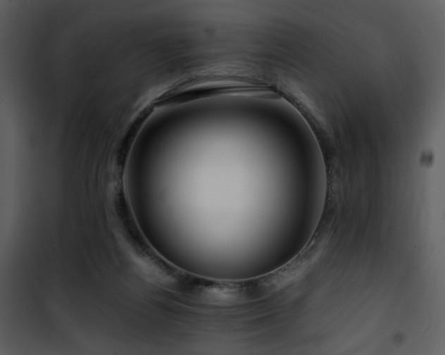 X0000101960164200807181049