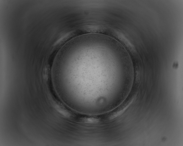 X0000101960165200807181049