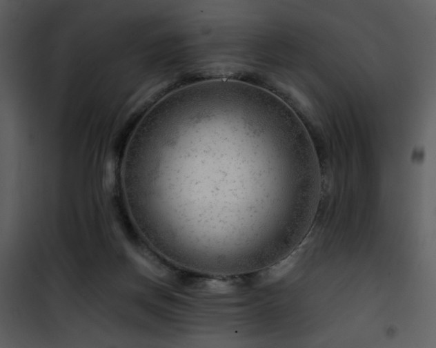 X0000101960166200807181049