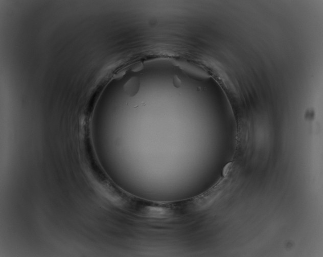 X0000101960167200807181049