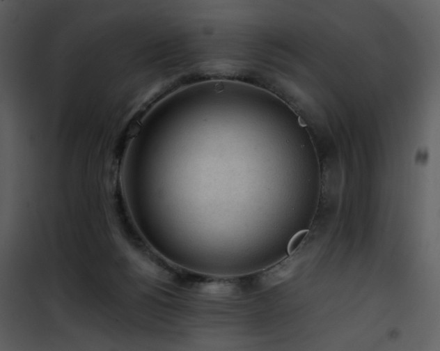 X0000101960168200807181049