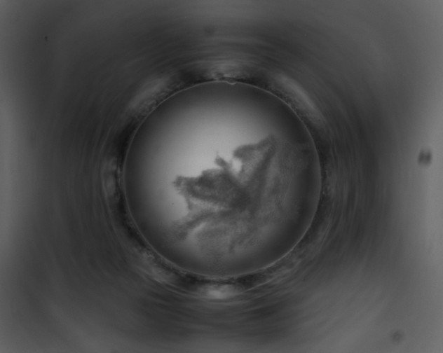 X0000101960169200807181049