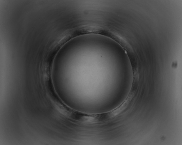 X0000101960170200807181049