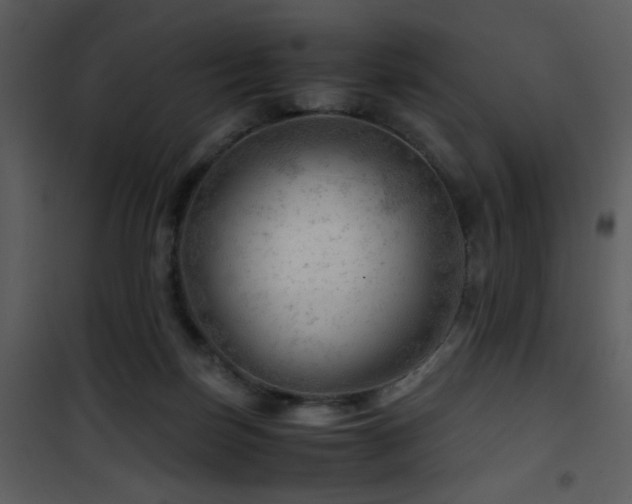 X0000101960171200807181049