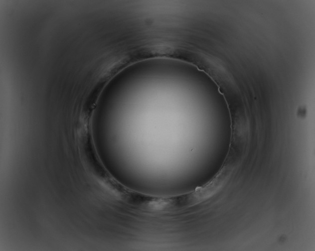 X0000101960172200807181049