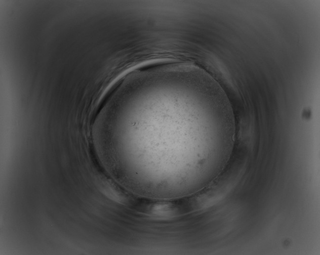 X0000101960173200807181049