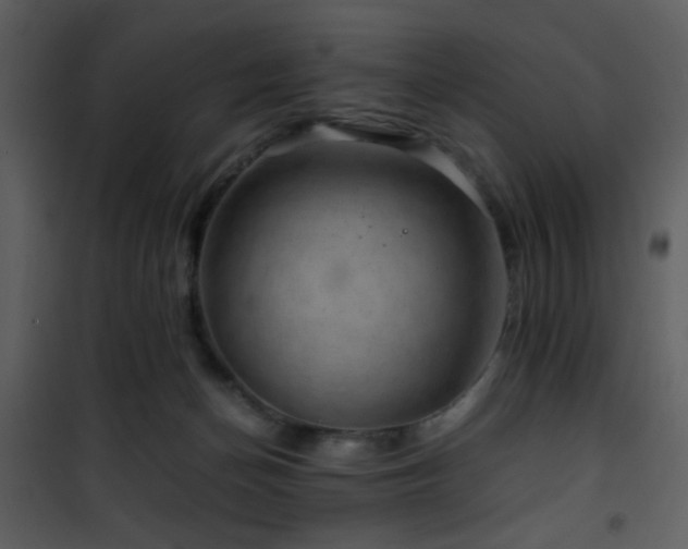 X0000101960174200807181049