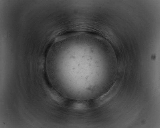 X0000101960175200807181049