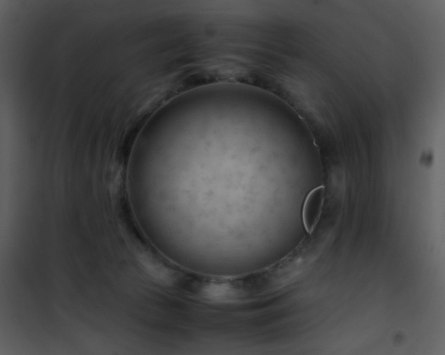 X0000101960177200807181049