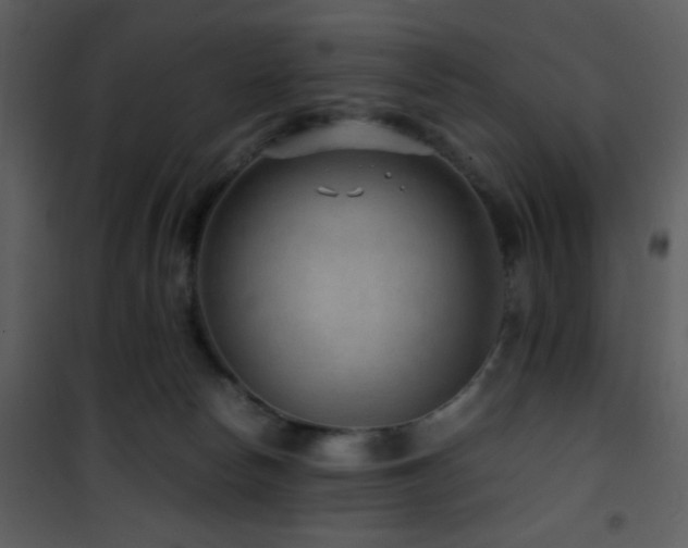 X0000101960178200807181049