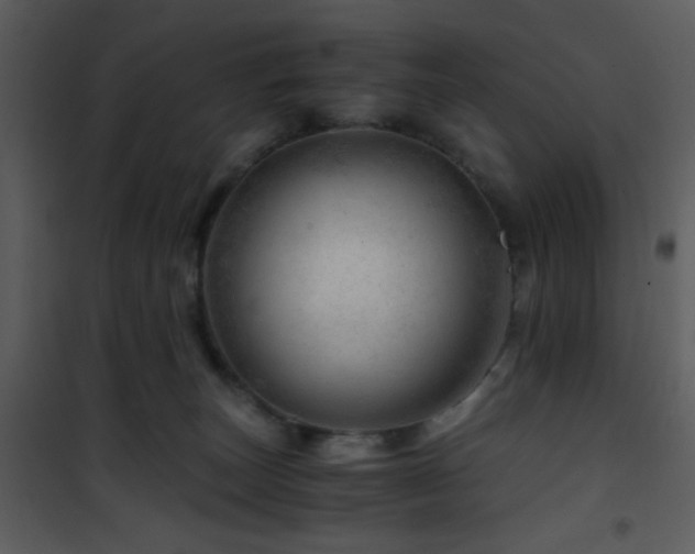 X0000101960179200807181049