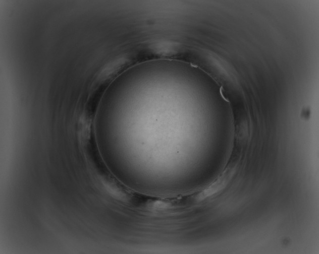 X0000101960180200807181049