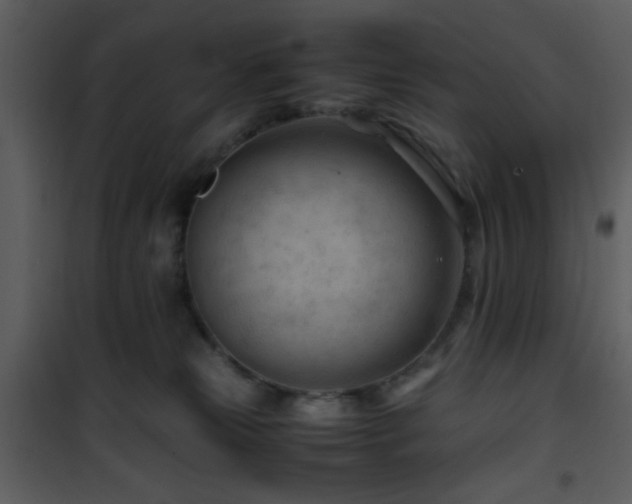 X0000101960181200807181049