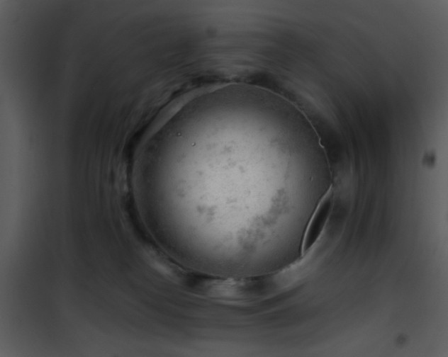 X0000101960182200807181049