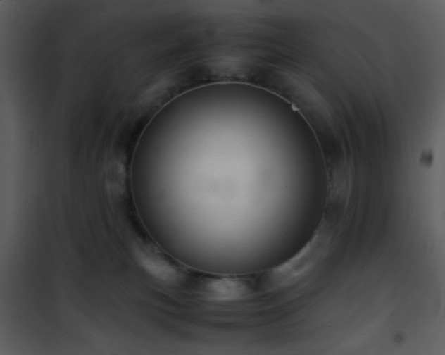 X0000101960183200807181049