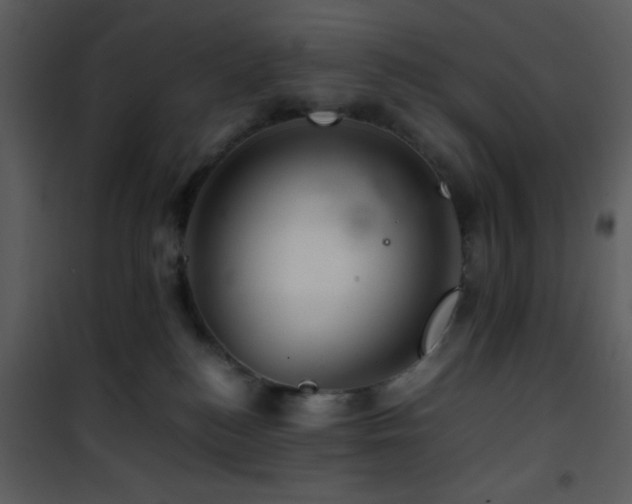 X0000101960184200807181049