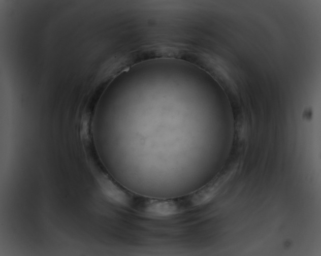 X0000101960185200807181049