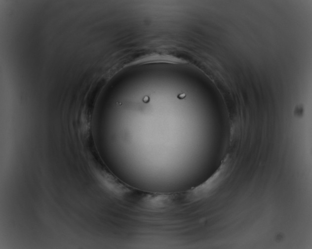 X0000101960186200807181049