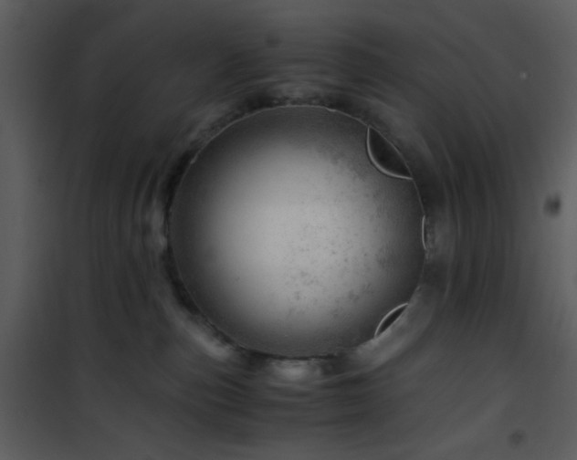 X0000101960187200807181049