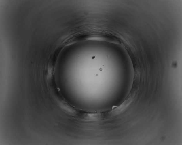 X0000101960188200807181049