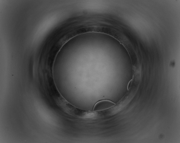 X0000101960189200807181049