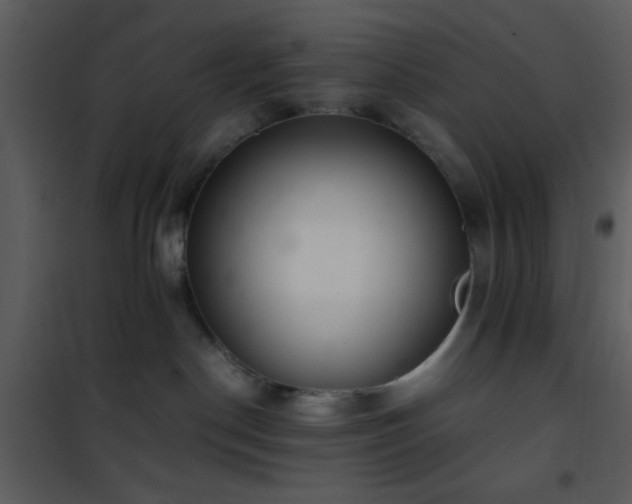 X0000101960190200807181049