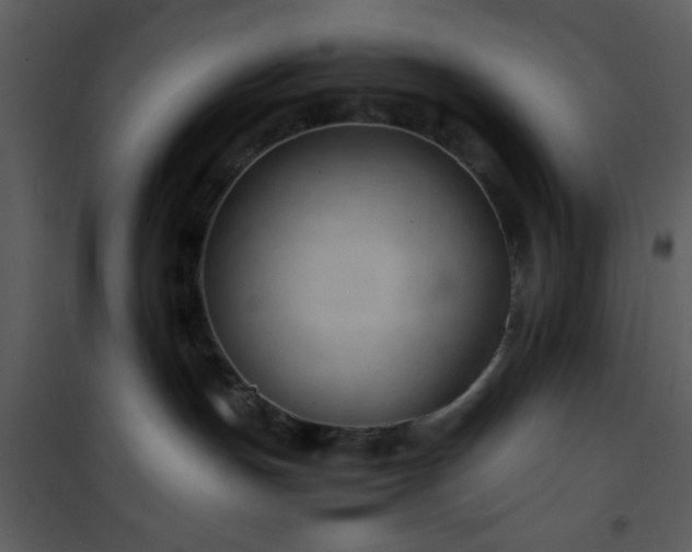 X0000101960191200807181049