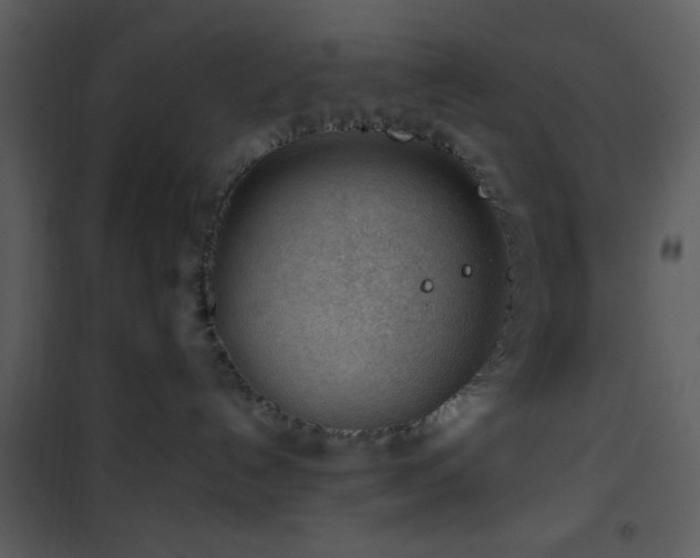 X0000101960192200807181049