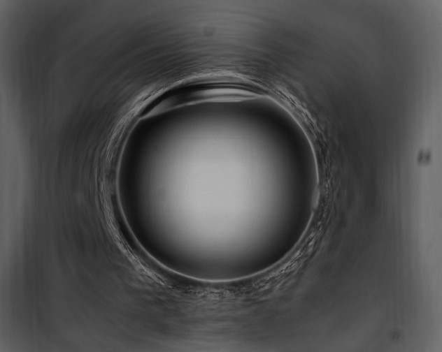 X0000101960193200807181049