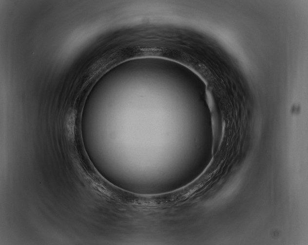 X0000101960194200807181049