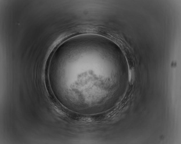 X0000101960195200807181049