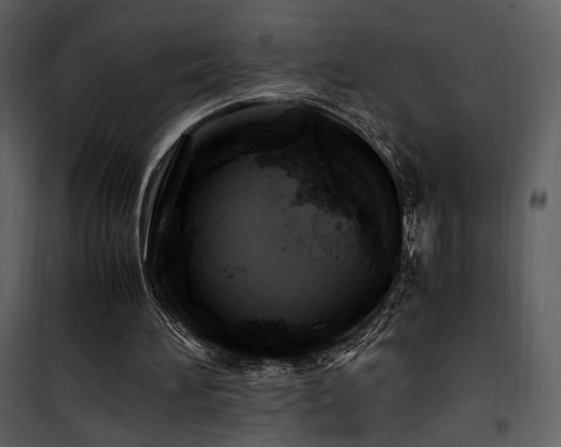 X0000101960196200807181049