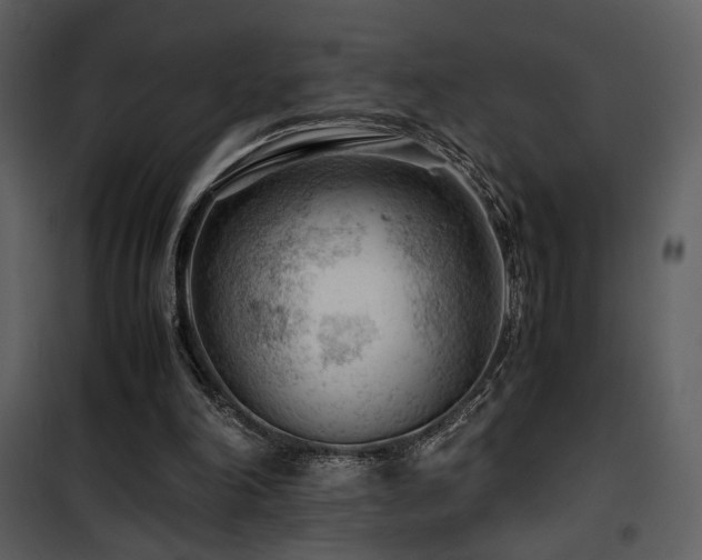 X0000101960198200807181049