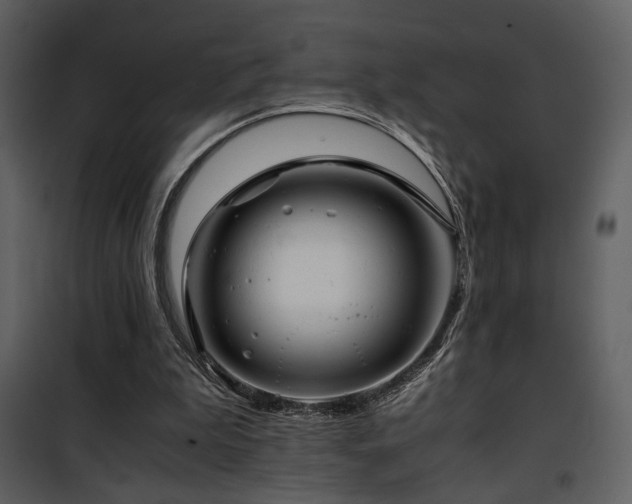 X0000101960199200807181049