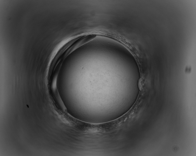 X0000101960200200807181049