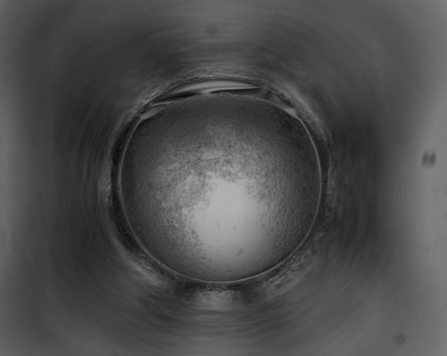 X0000101960202200807181048