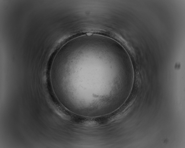 X0000101960203200807181048