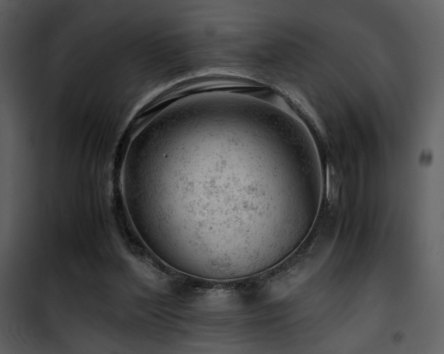 X0000101960204200807181048