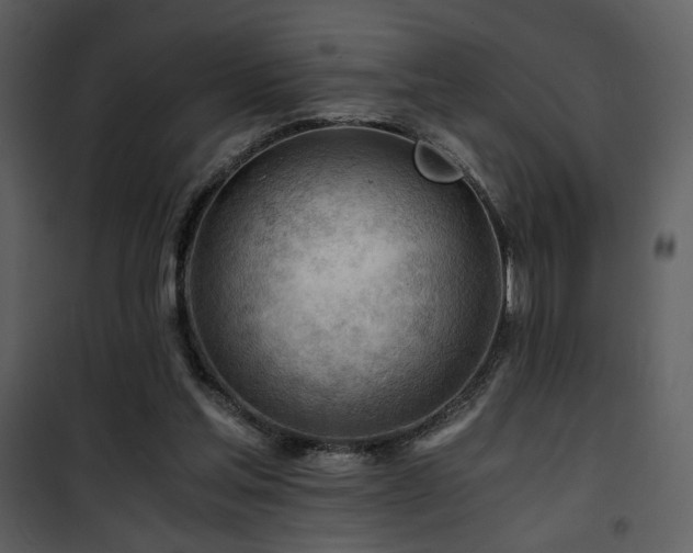 X0000101960205200807181048