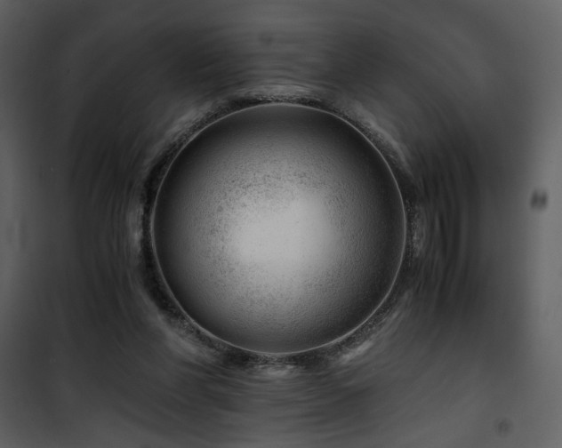 X0000101960206200807181048