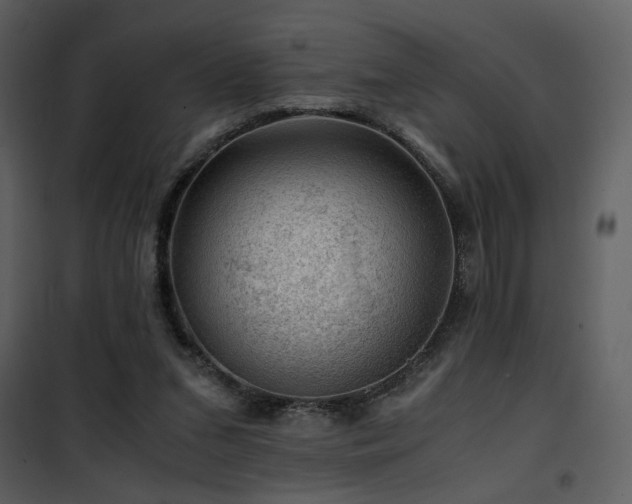 X0000101960207200807181048