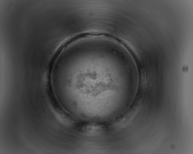 X0000101960208200807181048