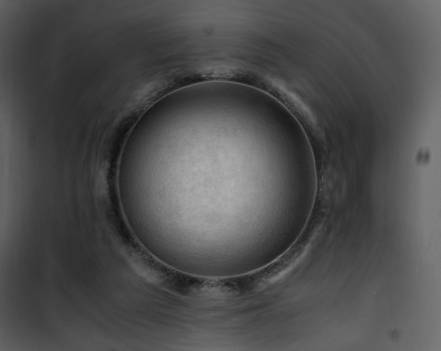 X0000101960209200807181048