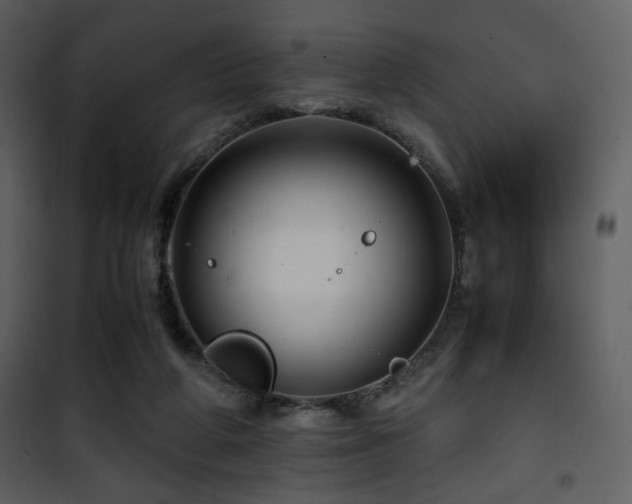 X0000101960210200807181048